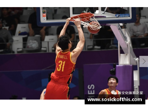 姚震：中国篮球之光与他的精彩职业生涯