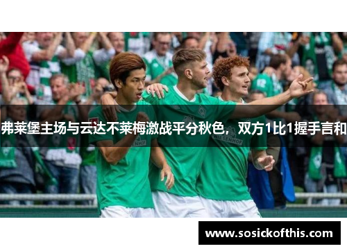 弗莱堡主场与云达不莱梅激战平分秋色，双方1比1握手言和