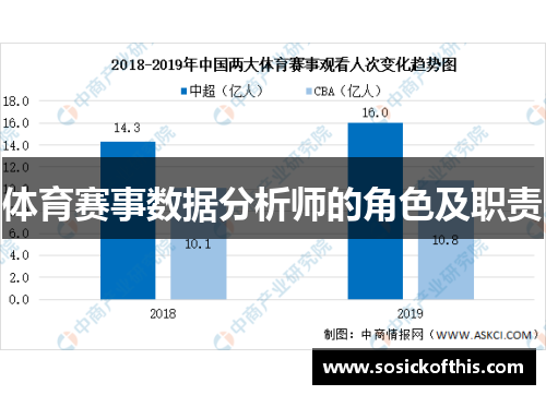体育赛事数据分析师的角色及职责