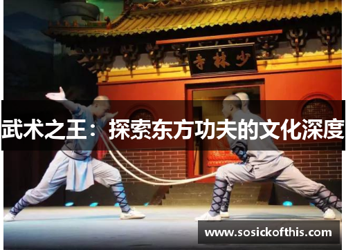 武术之王：探索东方功夫的文化深度
