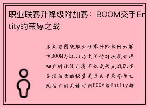 职业联赛升降级附加赛：BOOM交手Entity的荣辱之战
